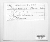 Image Associated With the Occurence